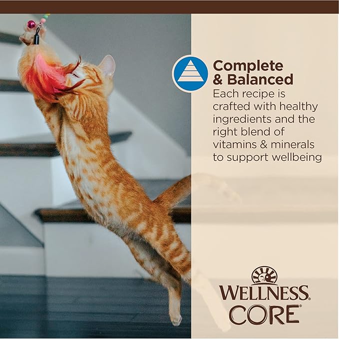 Wellness CORE Tiny Tasters Minced Adult Wet Cat Food, Natural, Protein-Rich, Grain Free, 1.75-Ounce Pouch, 12 Pack, (Tuna &amp; Shrimp)