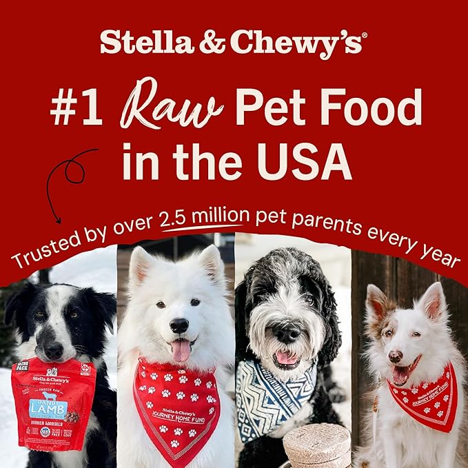 Stella &amp; Chewy&