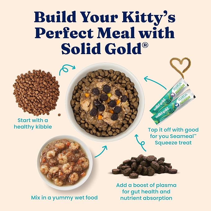 Solid Gold Sensitive Stomach Dry Cat Food - Grain Free &amp; Gluten Free Sensitive Stomach Cat Food for Indoor Adult &amp; Senior Cats - Dry Kibble for Cats w/Quail, Pumpkin &amp; Probiotics for Gut Health - 6lb