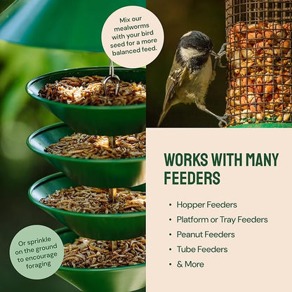 Dried Mealworms - 2 Lb Bag - High Protein Chicken Feed, Mealworms for Birds &amp; Chickens - Meal Worms for Wild Birds &amp; Turtles