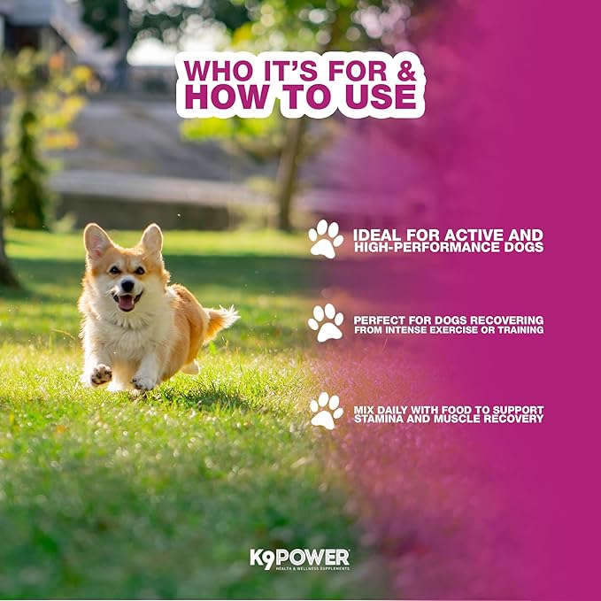 K9 Power Super Fuel for Dogs 1lb - Boosts Energy Levels - Supports Muscle Growth &amp; Enhances Joint Health - Pack of 2