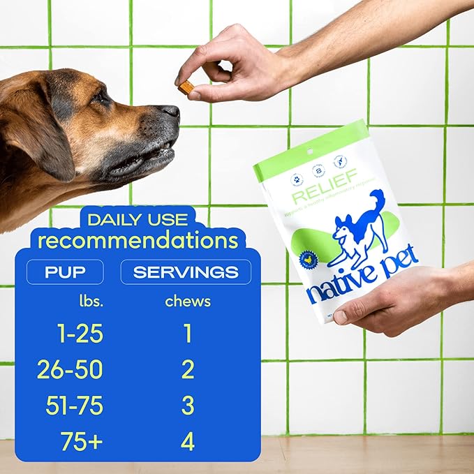 Native Pet Omega Oil for Dogs - Dog Fish Oil Supplements &amp; Relief - Anti-Inflammatory Chews for Dogs | 60 Dog Chews | 8 oz. Omega Oil | Best Dog Arthritis Supplement &amp; Dog Joint Pain Relief