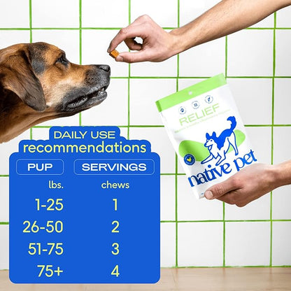 Native Pet Omega Oil for Dogs - Dog Fish Oil Supplements &amp; Relief - Anti-Inflammatory Chews for Dogs | 60 Dog Chews | 8 oz. Omega Oil | Best Dog Arthritis Supplement &amp; Dog Joint Pain Relief
