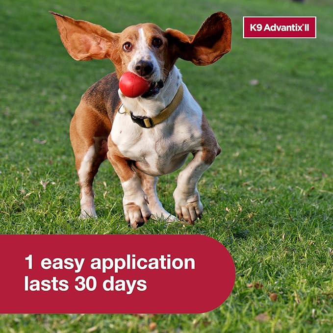 K9 Advantix II Medium Dog Vet-Recommended Flea, Tick &amp; Mosquito Treatment &amp; Prevention | Dogs 11-20 lbs. | 1-Mo Supply (Pack of 3)