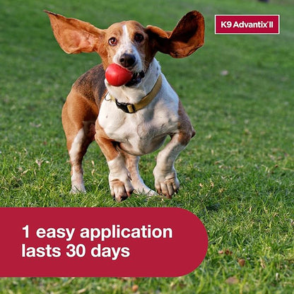 K9 Advantix II Medium Dog Vet-Recommended Flea, Tick &amp; Mosquito Treatment &amp; Prevention | Dogs 11-20 lbs. | 4-Mo Supply (Pack of 2)