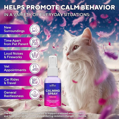 Calming Pheromone Spray &amp; Scratch Repellent for Cats - Reduces Scratching Furniture, Pee - During Travel, Fireworks, Thunder, Vet Zone - Helps with Stress, Fighting, Hiding (100 ml (2 pack))
