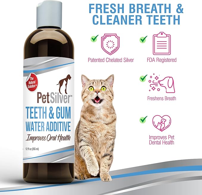 PetSilver Teeth &amp; Gum Water Additive for Dental Care - Pet Breath Freshener - Targets Tartar, Plaque &amp; Eliminates Bad Breath - Dog Oral Care &amp; Cat Teeth Cleaning - No Brushing &amp; Tasteless - 12 fl oz