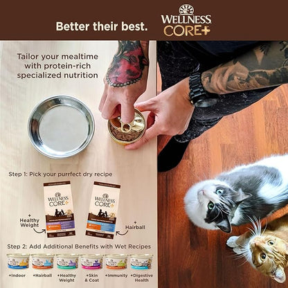 Wellness CORE+ Adult Dry Cat Food for Indoor &amp; Outdoor Cats, Grain Free, Natural, Healthy Weight, Chicken and Chicken Meal (4.75 Pound Bag)