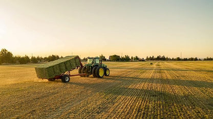 Blue Mountain Hay High-Altitude Hay - Organic Alfalfa, 5lb - High Protein, Fiber &amp; Mineral-Rich - Soft, Leafy, High Leaf Retention - Ideal for Goats, Rabbits, Guinea Pigs &amp; Other Small Animals