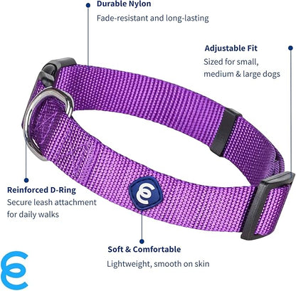 Blueberry Pet Essentials X-Small Dog Collar in Dark Orchid | Adjustable &amp; Eco-Friendly Durable Nylon Strap | Classic Collar for X-Small Dogs, Boy &amp; Girl Pets