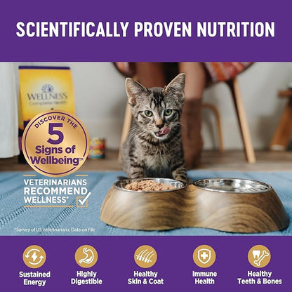 Wellness Complete Health Pate Kitten Wet Cat Food, Natural, Protein-Rich, Grain Free, 5.5 Ounce, 24 Pack, (Whitefish &amp; Tuna)