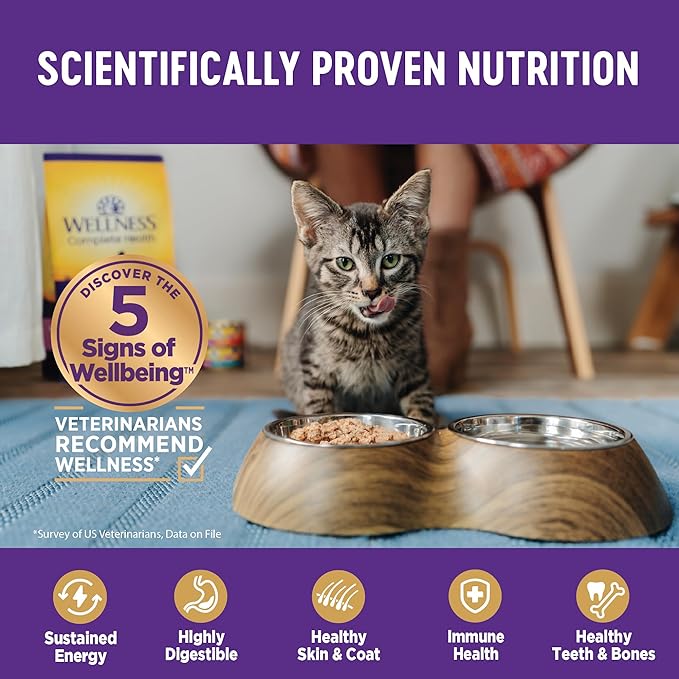 Wellness Complete Health Pate Adult Wet Cat Food, Natural, Protein-Rich, Grain Free, 5.5 Ounce, 24 Pack, (Beef &amp; Chicken)