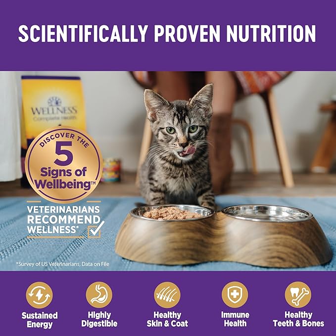 Wellness Complete Health Gravy &amp; Minced Adult Wet Cat Food, Natural, Protein-Rich, Grain Free, 3 Ounce, 12 Pack, (Salmon, Tuna, and Chicken Variety Pack)