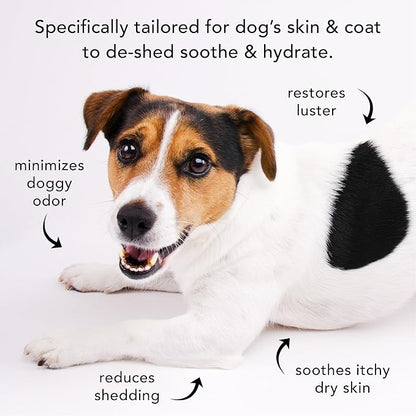 Pride and Groom The Shedder Box Set – Deshedding Dog Shampoo &amp; Conditioner with All Natural Blend of Essential Oils &amp; Ingredients to Moisturize &amp; Untangle Curly and Wavy Coats – 32oz