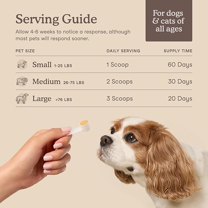 Fera Pets Liver Supplement for Dogs &amp; Cats with Milk Thistle, Choline &amp; Turmeric - Organic Botanicals - Enhances Liver Function, Immunity, Detoxification, &amp; Metabolic Function - Powder - 60 Scoops