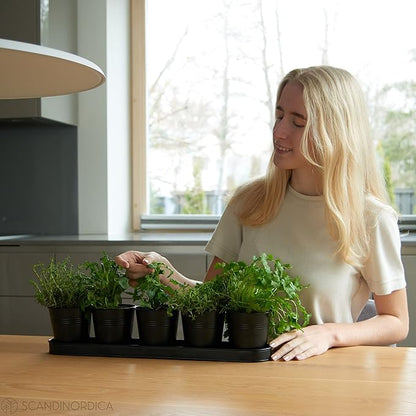 SCANDINORDICA Black Herb Planter – 5 Pots with Drainage Holes and Tray, Windowsill Planter, Herb Pots for Indoor Outdoor Plants | Kitchen &amp; Garden Decor