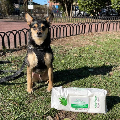 Best Pet Supplies Pet Wipes for Dogs - Dog Wipes Cleaning Deodorizing, for Coats, Ears, Paws - Hydrating, Aloe Vera