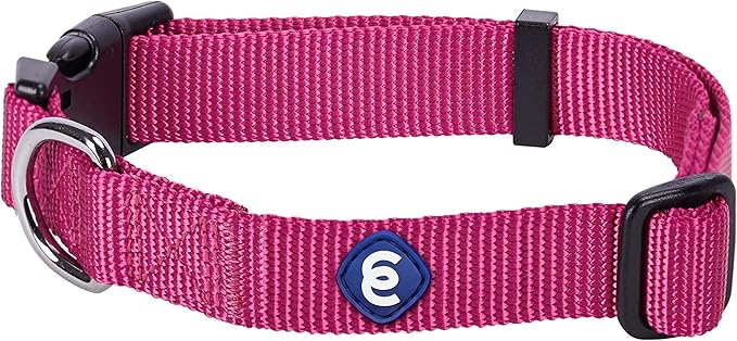 Blueberry Pet Essentials Small Dog Collar in Very Berry | Adjustable &amp; Eco-Friendly Durable Nylon Strap | Classic Collar for Small Dogs, Boy &amp; Girl Pets