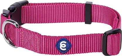 Blueberry Pet Essentials Small Dog Collar in Very Berry | Adjustable &amp; Eco-Friendly Durable Nylon Strap | Classic Collar for Small Dogs, Boy &amp; Girl Pets