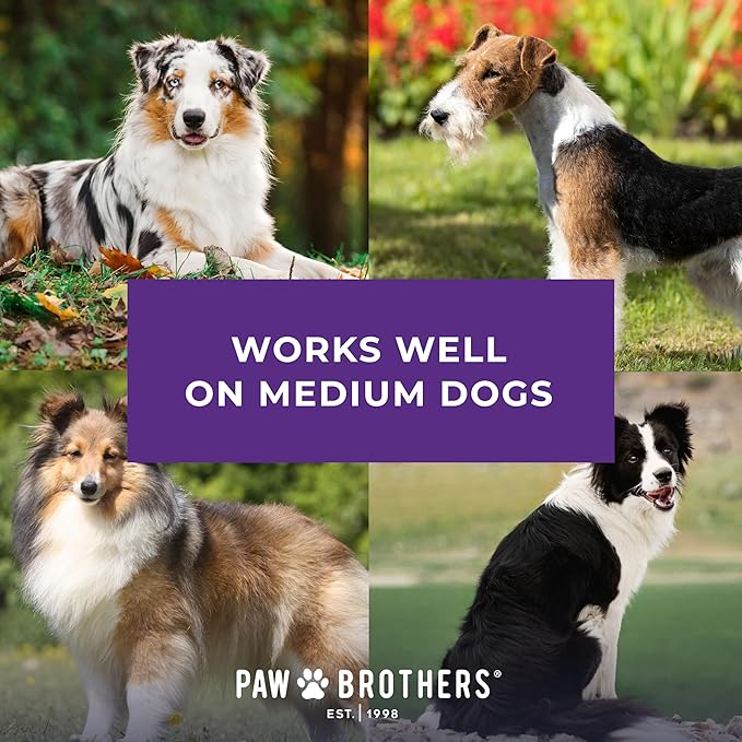 Ryan&