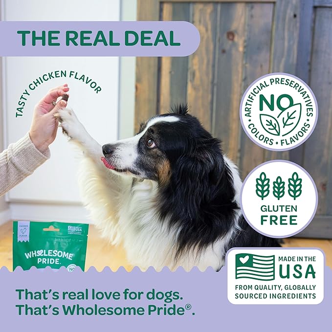 Wholesome Pride Hip &amp; Joint Supplement for Dogs – 90 Soft Chews – Glucosamine, Chondroitin, MSM &amp; Turmeric – Mobility Support &amp; Arthritis Relief for Growing, Adult &amp; Senior Dogs