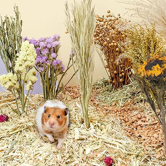 Natural Ear of Grain Flower&amp;Herb Bedding Mate Habitat Decor, Adding Fun Hamster Accessories for Hamsters Gerbils Lemming