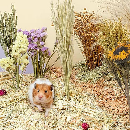 Natural Ear of Grain Flower&amp;Herb Bedding Mate Habitat Decor, Adding Fun Hamster Accessories for Hamsters Gerbils Lemming