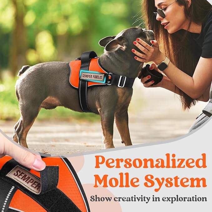 rabbitgoo Dog Harness Medium Sized, Easy On Pet Vest with One Buckle, No Pull Adjustable Service Harness with D-Ring &amp; Handle, Reflective for Safety Walking, Training, Orange, M
