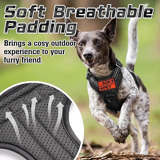 rabbitgoo Dog Harness No Pull, Military Dog Harness Medium Sized Dog with Handle &amp; Molle, Easy Control Service Dog Vest Harness Training Walking, Adjustable Reflective Tactical Pet Harness, Black, M