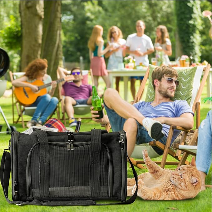 Roaringkitty Travel in Style: Portable Pet Carrier for Small Pets up to 15 Lbs- Airline Approved, Collapsible &amp; Comfortable cat/Puppy Soft Sided Bag (Black)