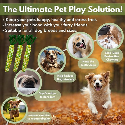3PCS Rainbow Woven Pet Chew Set, Colorful Puppy Teething Chews, Dog Chew Toys, Cat Teething Playset, Soft &amp; Safe Interactive Pet Chews
