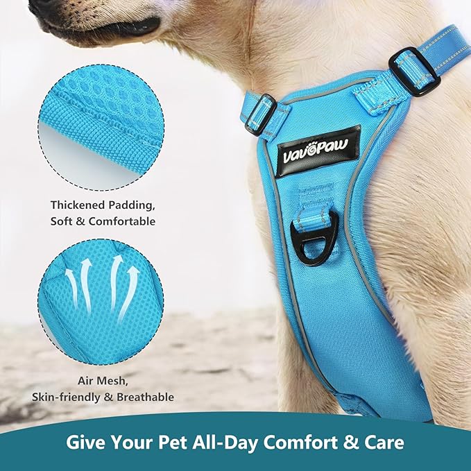 Dog Seat Belt Harness for Car, Dog Car Harness Adjustable Mesh Breathable &amp; Dogs Seatbelt Safety Tether with Elastic Bungee for Small Medium Large Pets(Blue, XL)