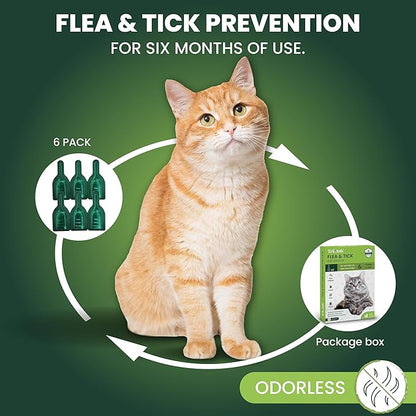 Flea and Tick Prevention for Cats: Flea &amp; Tick Topical for Cats Over 1.5lbs, 6 Dose Flea and Tick Control/Prevention for 6 Months (6 Pack)