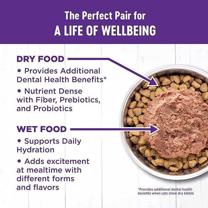 Wellness Complete Health Pate Adult Wet Cat Food, Natural, Protein-Rich, Grain Free, 3 Ounce, 24 Pack, (Beef &amp; Chicken)