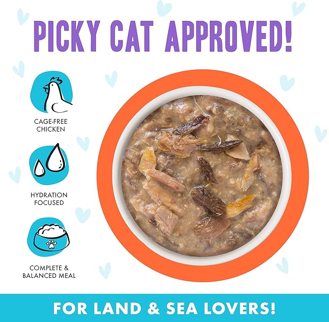 Weruva B.F.F. OMG - Best Feline Friend Oh My Gravy! Grain-Free Wet Cat Food Cans, Crazy 4 U! Chicken &amp; Salmon, 2.8oz Can (Pack of 12)