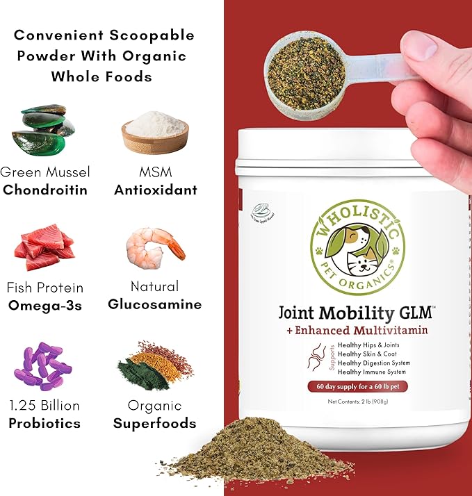 Wholistic Pet Organics Joint Mobility GLM - 2 Lb - Glucosamine for Dogs and Chondroitin Supplement Green Lipped Mussels - Joint Supplement for Dogs - Arthritis Pain Reliever for Large &amp; Small Breeds