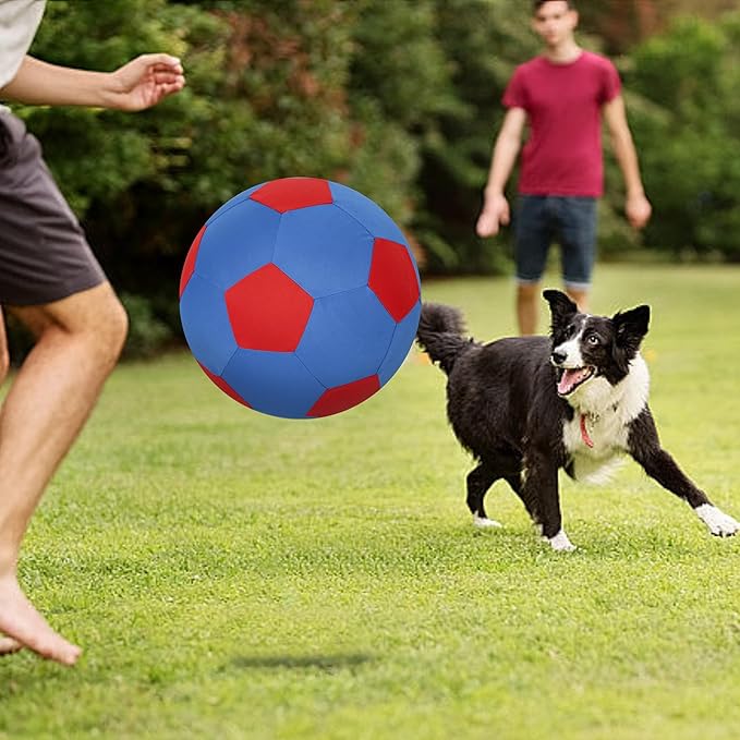 Herding Ball for Dogs &amp; Horses - 20" Ball with Hand Pump - Blue &amp; Red