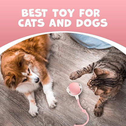 Pawlo Speedy Tail 2.0 Cat Toy –Teazys Turbo Tail Upgrade – Interactive Cat Toy – Kitten Toys – Automatic cat Toy for Boredom – Moving cat Toys for Indoor Cats with 2 Tails (Pink)