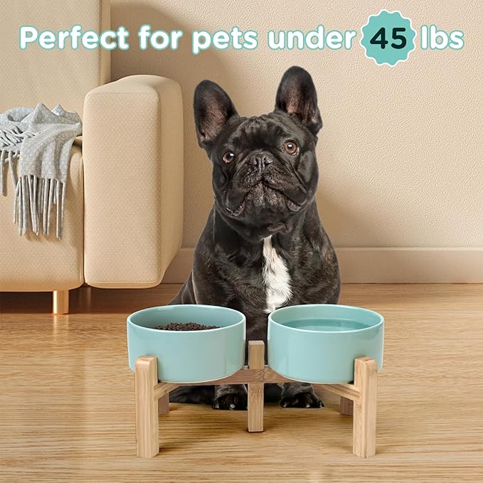 SPUNKYJUNKY Elevated Dog Bowls Ceramic, 6.1&