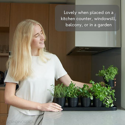 SCANDINORDICA Black Herb Planter – 5 Pots with Drainage Holes and Tray, Windowsill Planter, Herb Pots for Indoor Outdoor Plants | Kitchen &amp; Garden Decor