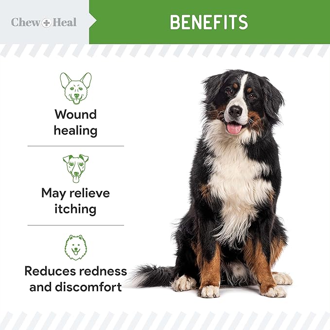 Hypochlorous Acid Spray for Dogs – 8oz Dog Wound Spray for Cuts, Burns, Sores, Abrasions, and More – Non Toxic and Chemical Free HOCI Wound Care – Made in The USA