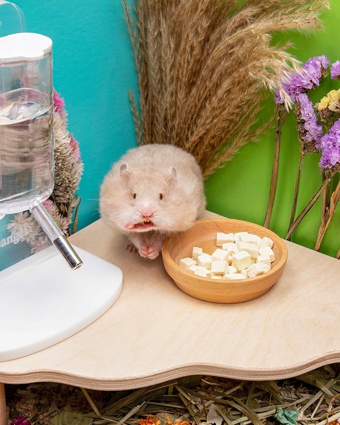 Niteangel Hamster Snack &amp; Treats Toy - Small Animal Natural Treat for Dwarf Syrian Robo Hamsters Gerbils Mice Lemmings Degus or Other Small-Sized Pets