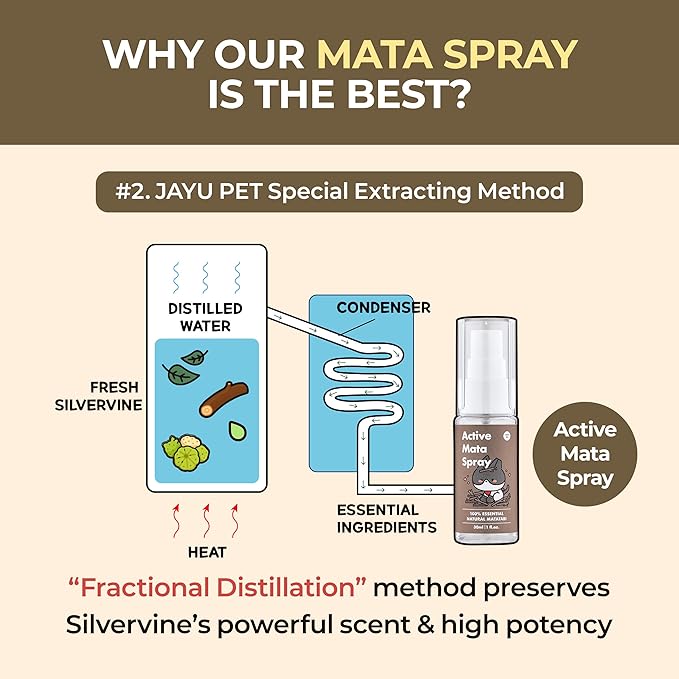 JAYU PET Active MATA Spray – 100% Natural Silvervine Spray for Cats, Liquid Catnip Alternative, Calming Spray for Indoor Kittens, Boosts Play &amp; Engagement, Reduces Stress (1 fl oz)