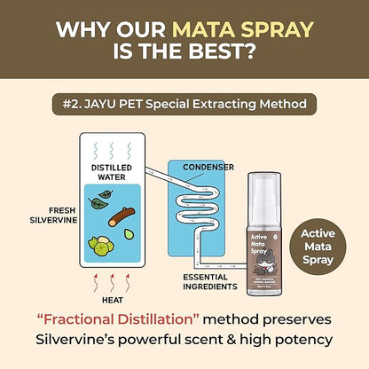 JAYU PET Active MATA Spray – 100% Natural Silvervine Spray for Cats, Liquid Catnip Alternative, Calming Spray for Indoor Kittens, Boosts Play &amp; Engagement, Reduces Stress (1 fl oz)