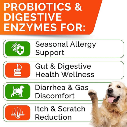 STRELLALAB Pet Probiotics for Dogs &amp; Digestive Enzymes + Digestion &amp; Gut Health Treats, Dog Probiotics Chews, Fiber Supplement, Anti Diarrhea, Constipation, Upset Stomach&amp;Gas Relief, Canine Prebiotic