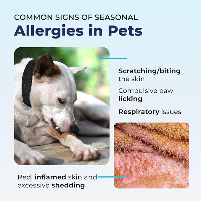 Vetnique Dermabliss Anti Itch Spray for Dogs &amp; Cats with Hydrocortisone for Allergies and Immediate Dog Itching Skin Relief - Fragrance Free with Soothing Oat Extract (4oz)