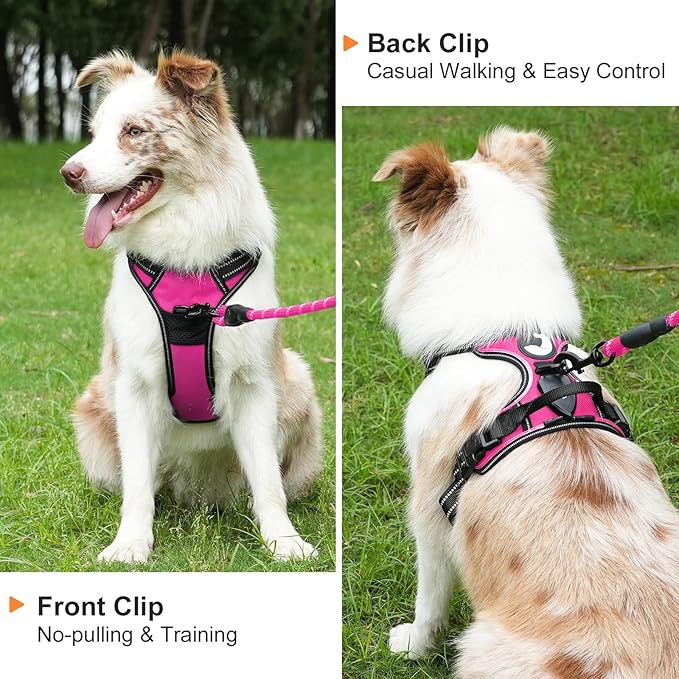 Taglory Light Up Dog Harness, Rechargeable No Pull Dog Vest with 3 Lightning Modes, Reflective Dog Harness with 2 Leash Clips &amp; 4 Adjustable Slide Strips for Medium Dogs, Hotpink-Hotpink, M