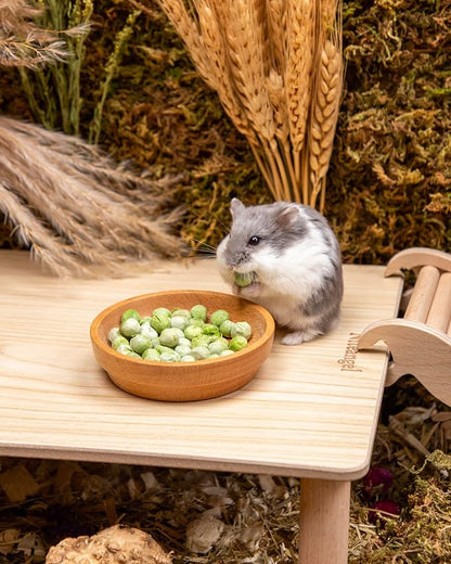Niteangel Hamster Snack &amp; Treats Toy - Small Animal Natural Treat for Dwarf Syrian Robo Hamsters Gerbils Mice Lemmings Degus or Other Small-Sized Pets