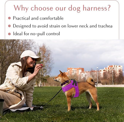 Comfort fit Step-in Dog &amp; Puppy Harness - Comfortable All Weather Dog Vest Harness: Adjustable, Soft Padded, Easy to Put-on for Small, Medium-Sized Dogs.