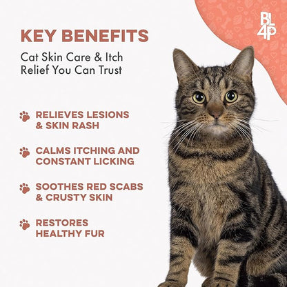 Mange Treatment for Cats, Natural Ear Mite Treatment &amp; Cat Itchy Skin Relief, Helps with Welts, Scabs, Feline Dandruff, Shedding, Excessive Grooming and General Fur and Coat Care, 400 Odorless Pills